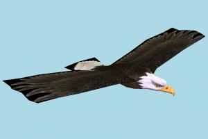 Eagle Eagle