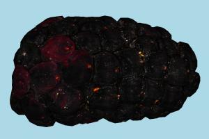 Blackberry Blackberry