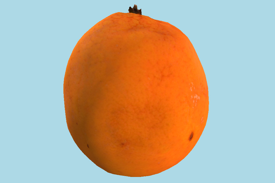 Fruit Orange 3d model