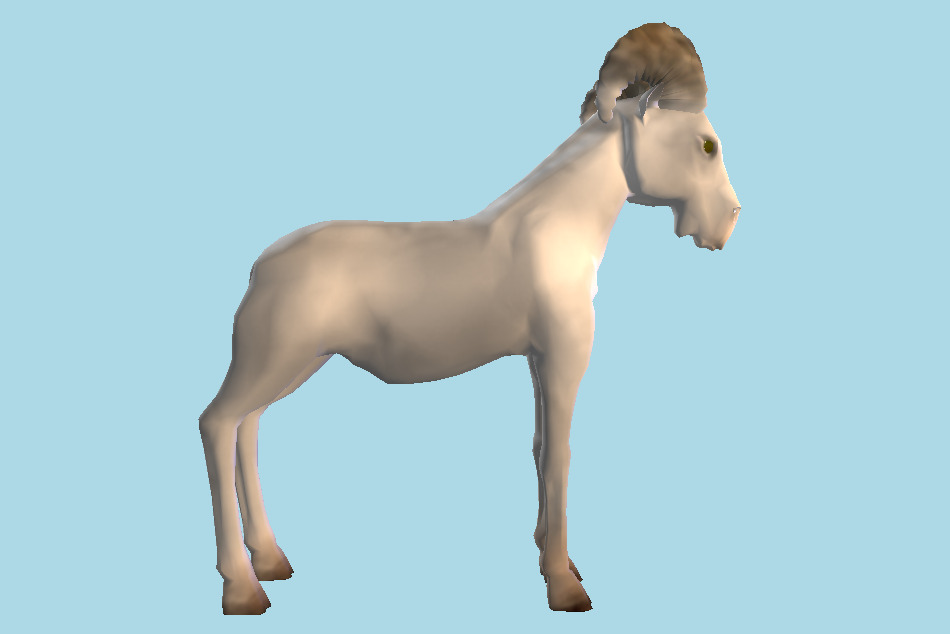 Ram Sheep Goat 3d model