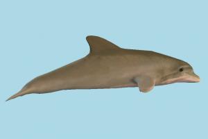 Dolphin Dolphin
