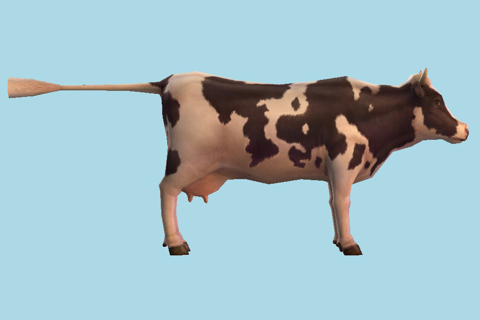 Dairy Cow 3d model