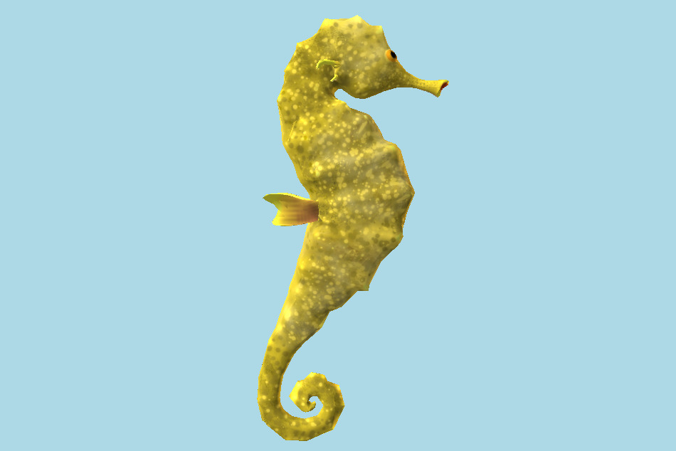 Seahorse 3d model