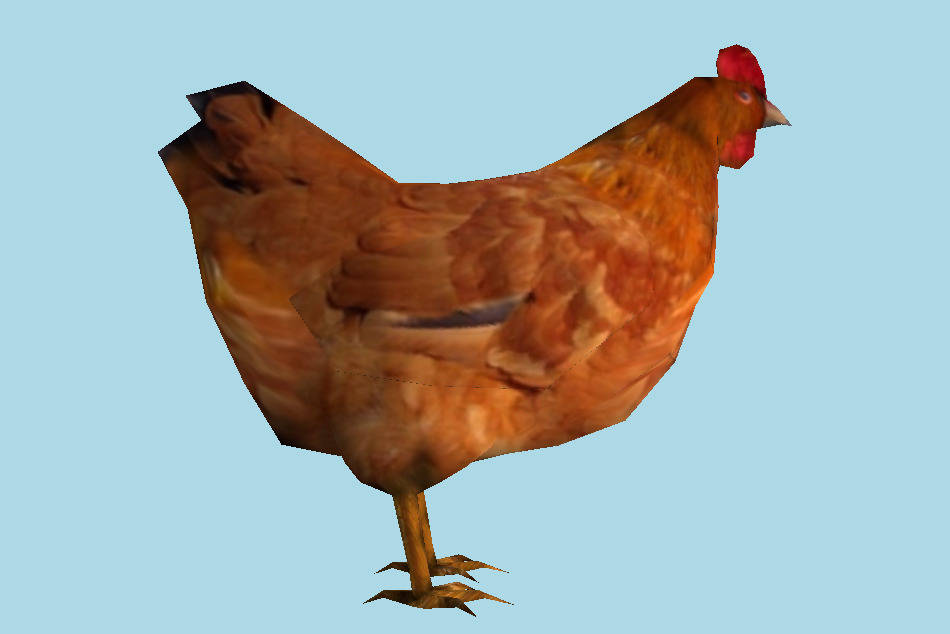 Hen 3d model