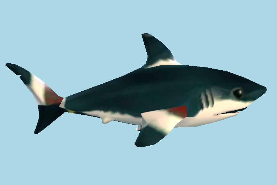 Shark 3d model