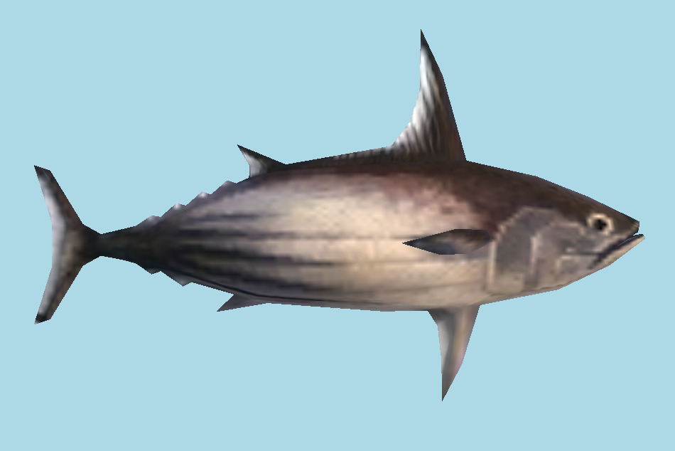 Fish Lowpoly 3d model