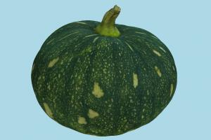 Squash Squash