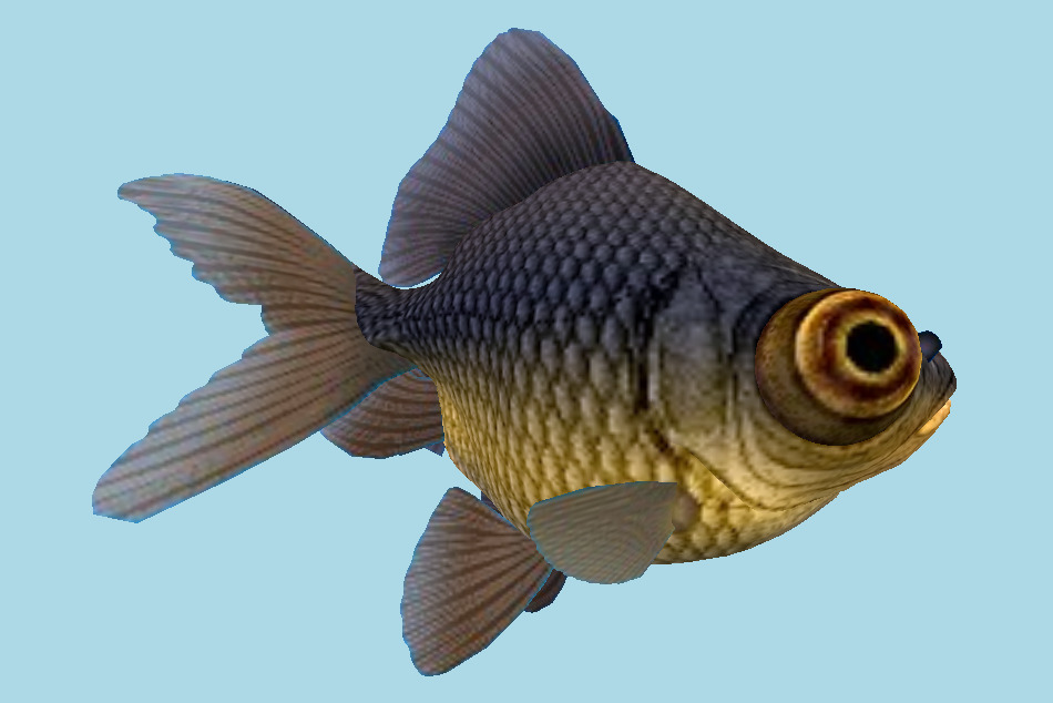 Fish 3d model