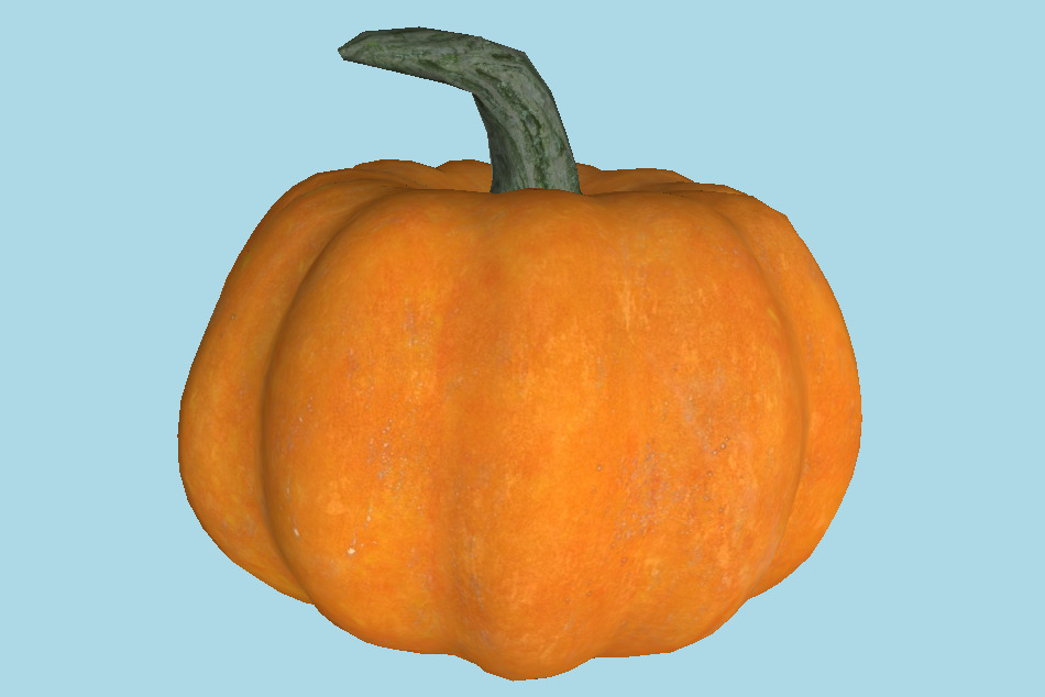 Pumpkin 3d model