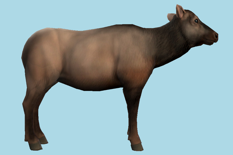 Elk 3d model