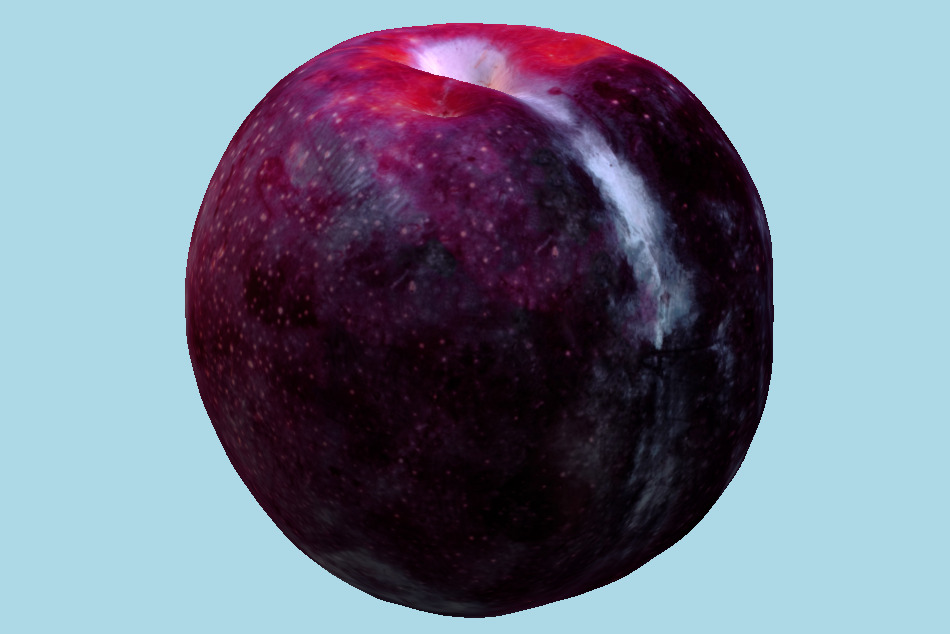 Plum 3d model