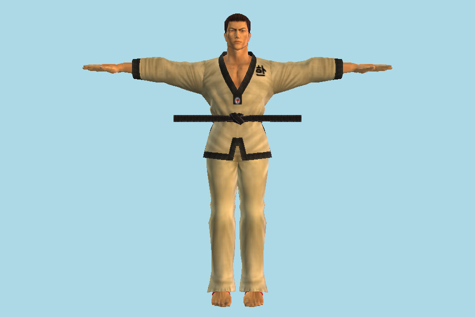 Tekken Baek Tag Tournament 3d model
