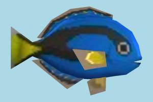 Fish Fish