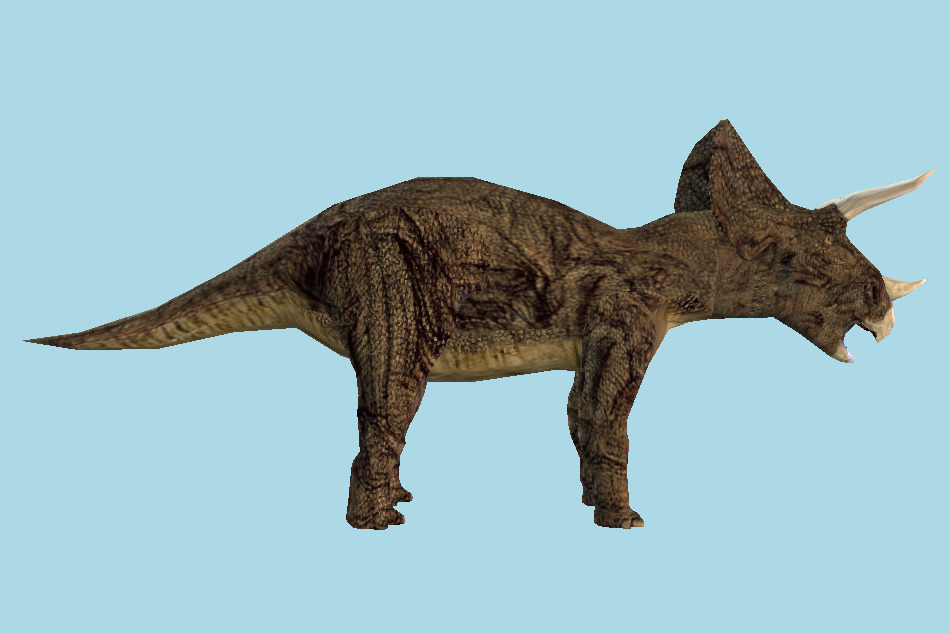 Triceratops 3d model