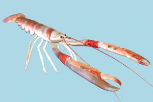Lobster Lobster-3