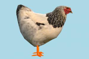 Hen Hen