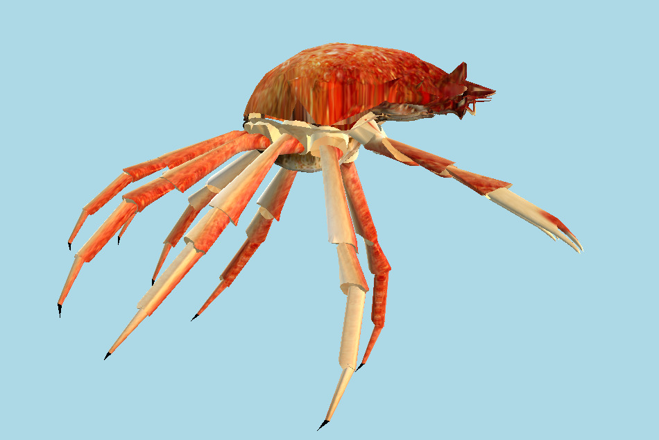 Crab 3d model