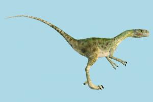 Dinosaur diplodocus, dinosaur, wild, nature, animal, animals, mammal, jungle