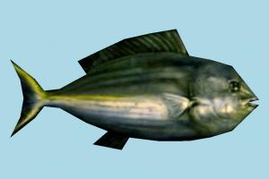 Fish Fish