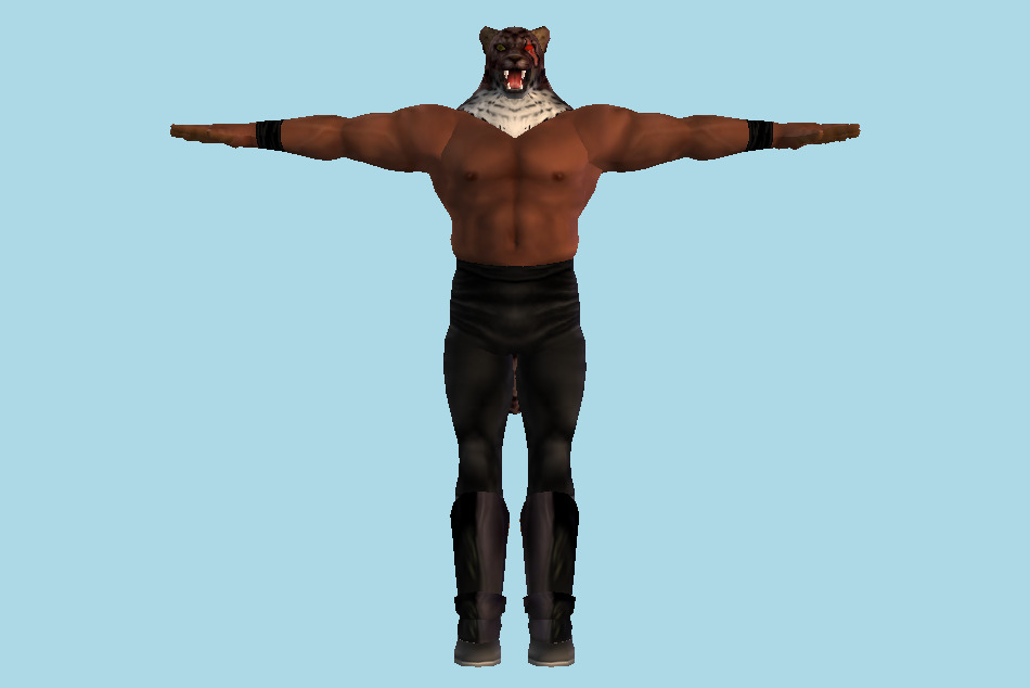 Tekken King Tag Tournament 3d model