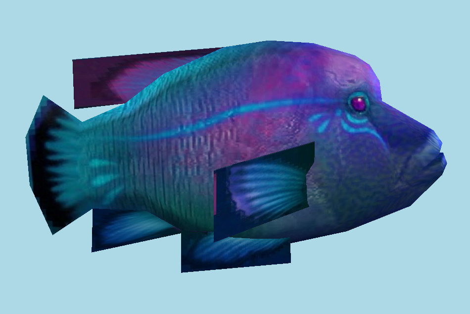 Fish 3d model