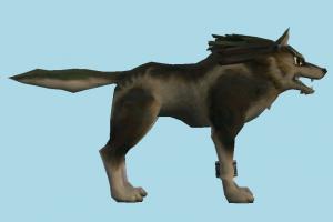 Wolf wolf, fox, animal, animals