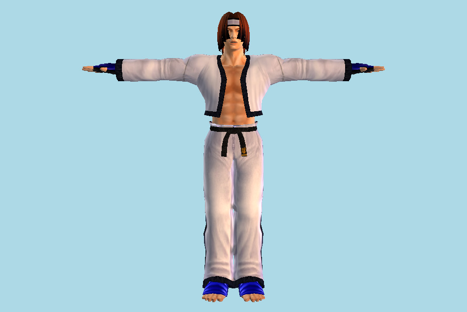 Tekken Hworang Tag Tournament 3d model