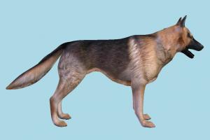 Dog Dog