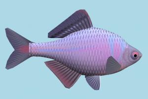 Fish Fish