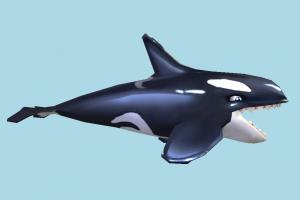 Shark Shark-Whale