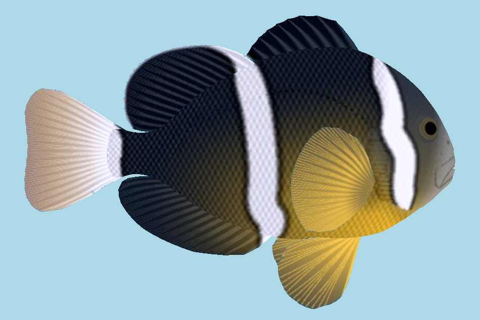 Kumanomi Fish 3d model