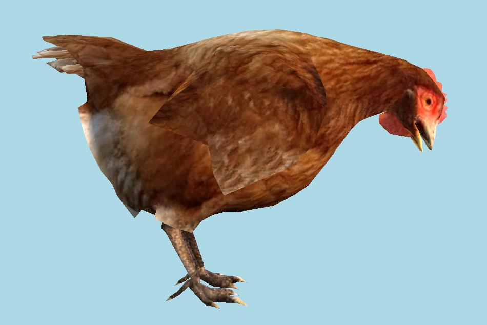 Brown Hen 3d model