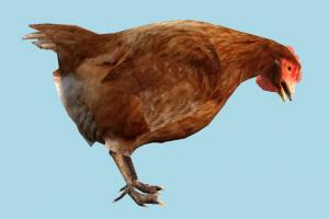 Hen Hen