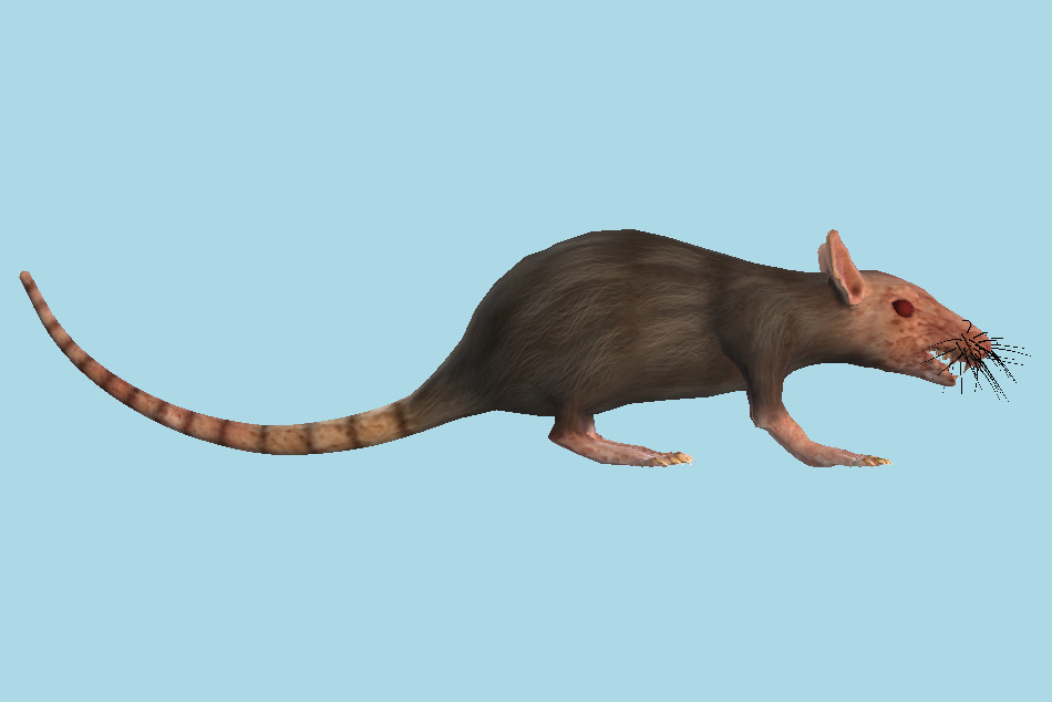 Monster Rat 3d model