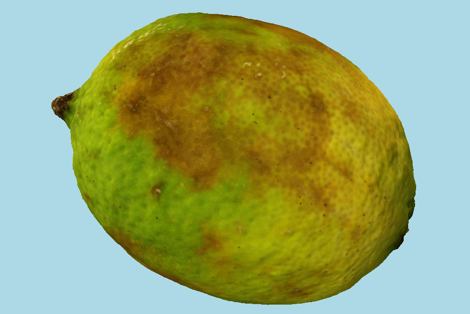 Overripe Lime 3d model