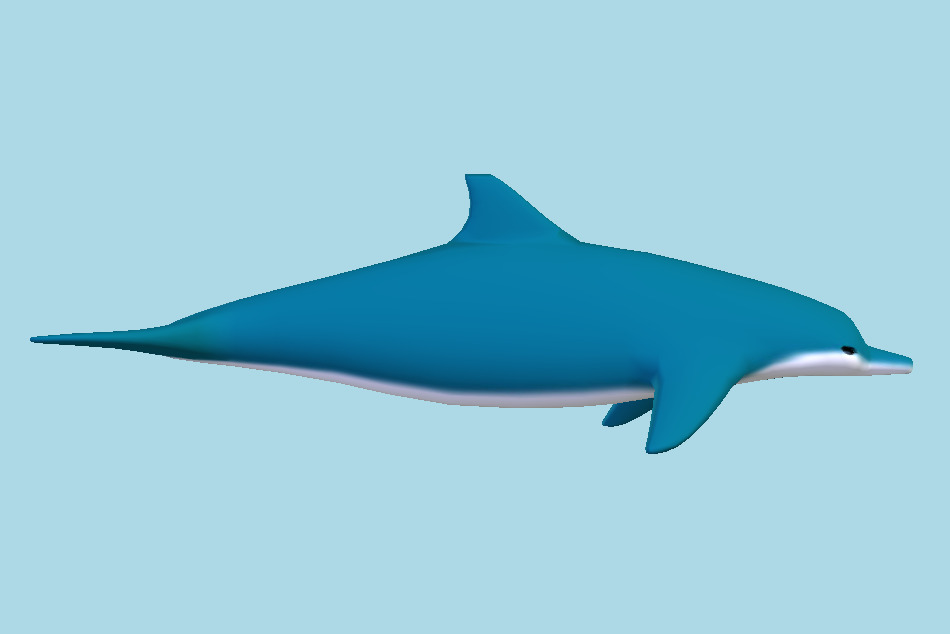 Dolphin 3d model