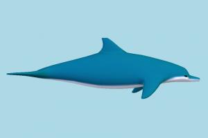 Dolphin Dolphin