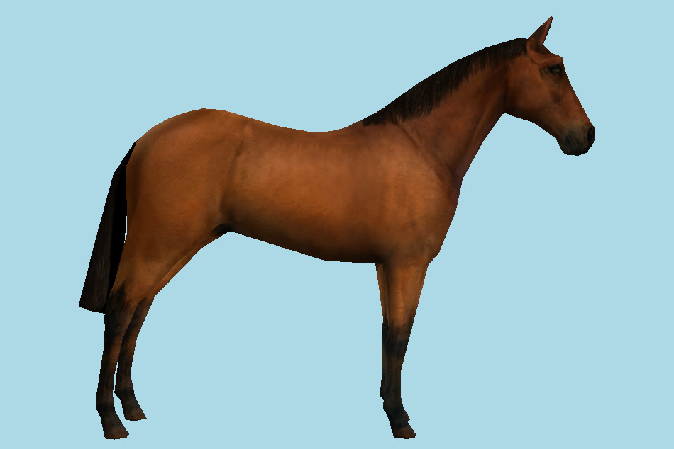 Horse Animal 3d model