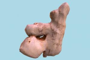 Ginger Root fruit, vegetable, food, scanned