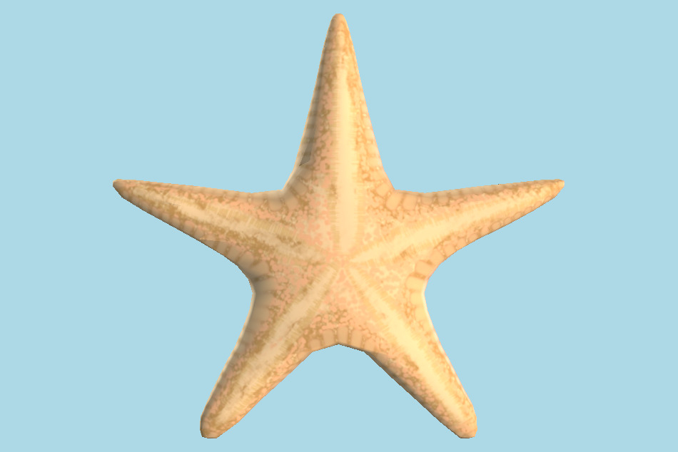 Star Fish 3d model