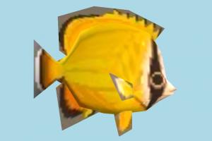 Fish Chouchou-Fish
