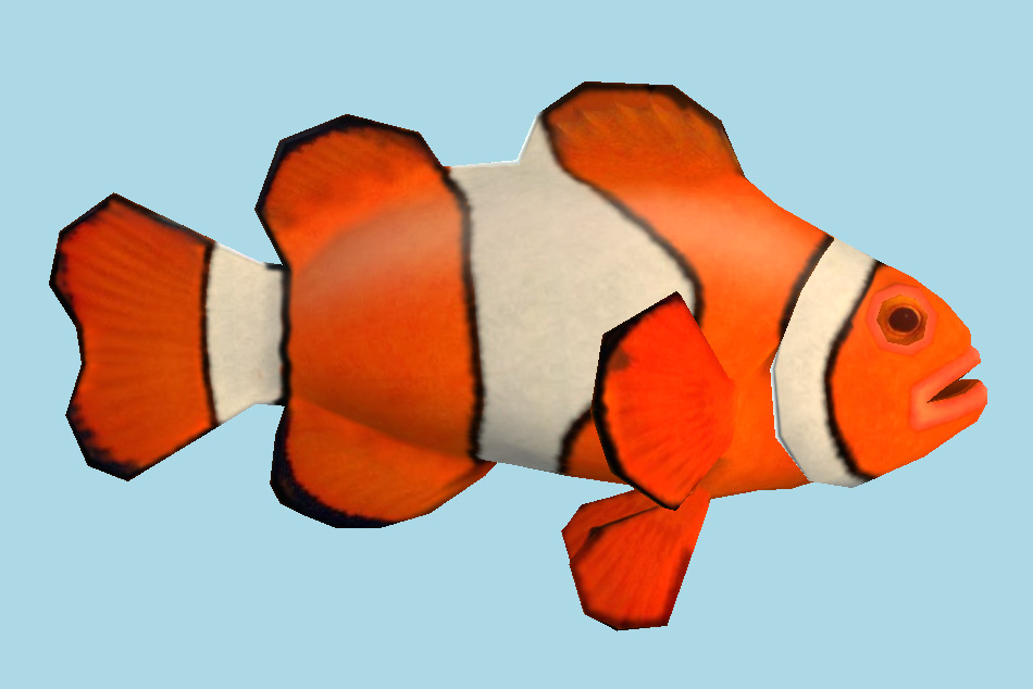 Clownfish 3d model