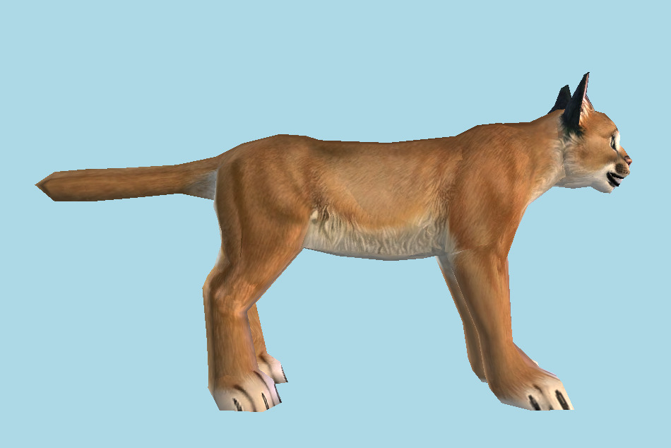 Zoo Tycoon 2 Caracal 3d model