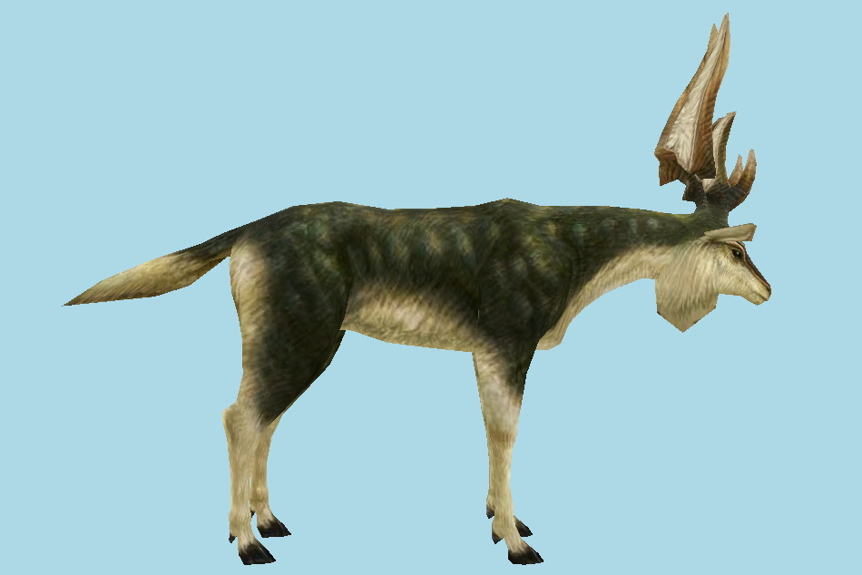 Monster Hunter Tri Kelbi 3d model