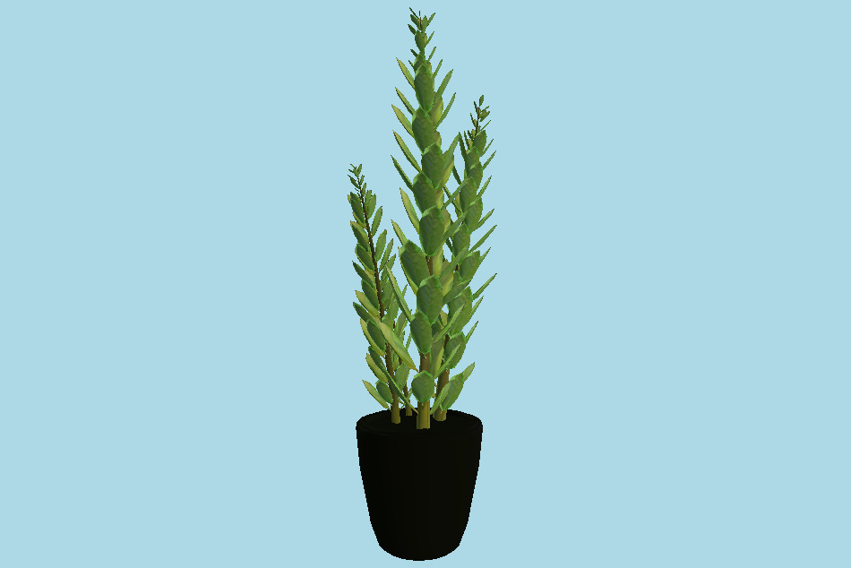 Indoor Plant 3d model