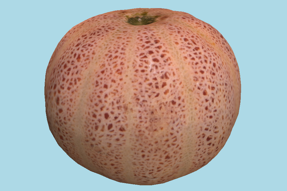 Cinderella Melon 3d model