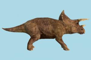 Dinosaur dinosaur, animal, animals, wild, nature, mammal, carnivore, predator