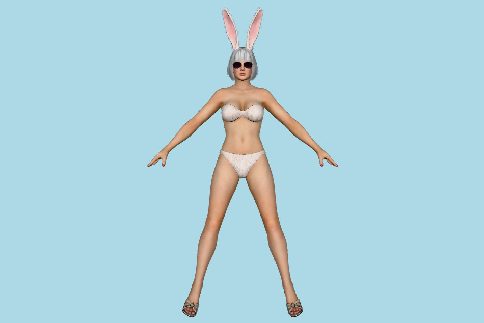 Dead or Alive 5 - Tina Armstrong Bunny Costume 3d model