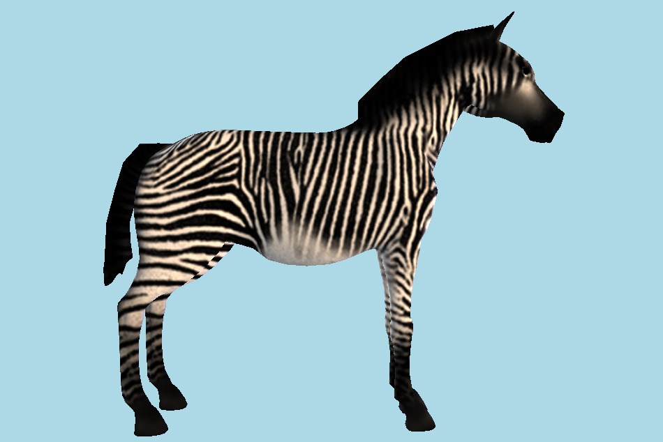 Zebra Animal 3d model