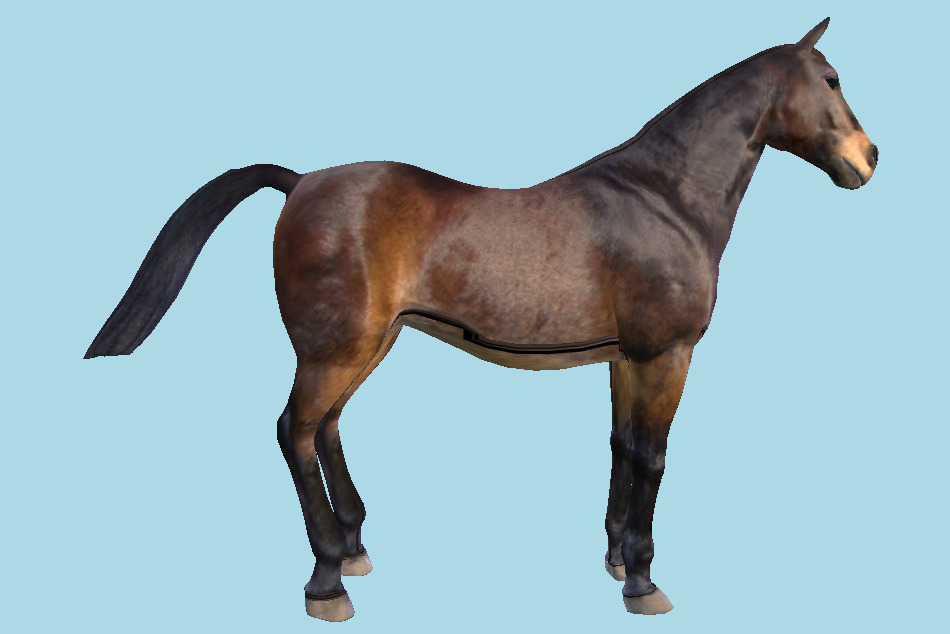 Horse Animal 3d model